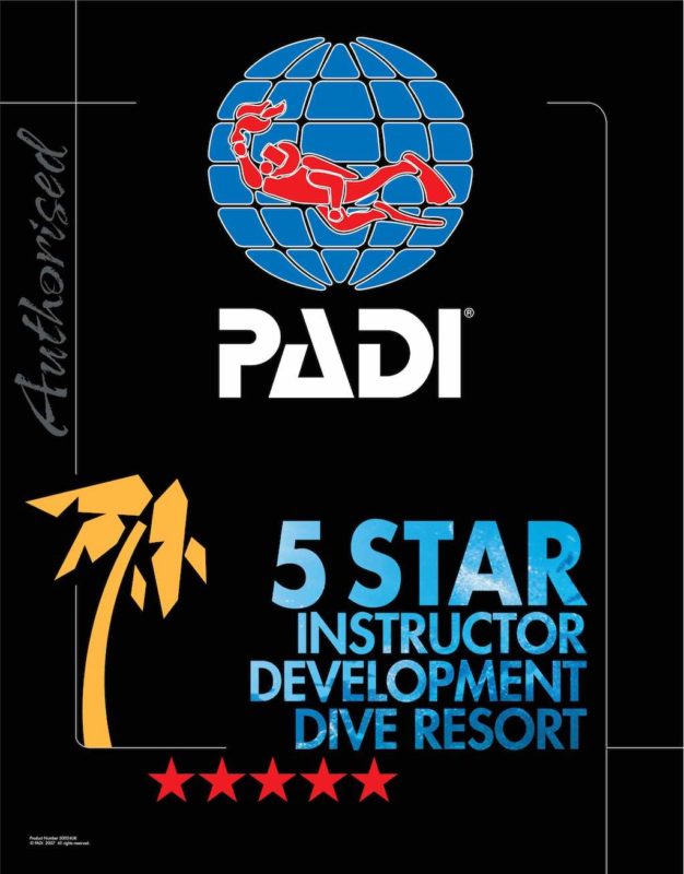 PADI Open Water Diver intensivkurs @ET-DC@eyJkeW5hbWljIjp0cnVlLCJjb250ZW50IjoicG9zdF90aXRsZSIsInNldHRpbmdzIjp7ImJlZm9yZSI6IjxoMT4iLCJhZnRlciI6IjwvaDE+In19@ DIVERS.se
